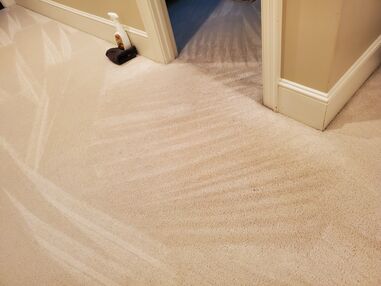 Before & After Carpet Cleaning in High Point, NC (3)
