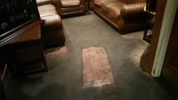 while carpet cleaning SJS