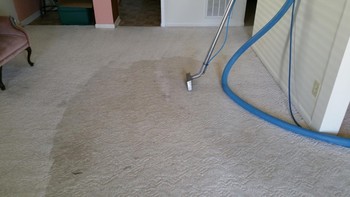 Carpet Cleaning by Superior Janitorial Service, LLC in Greensboro, NC
