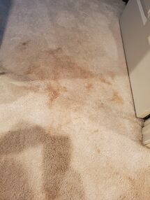 Before & After Carpet Cleaning in High Point, NC (1)