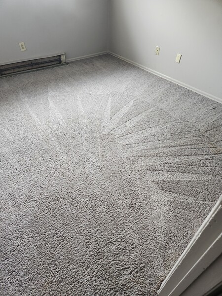 Carpet Steam Cleaning in Greensboro, NC (1)