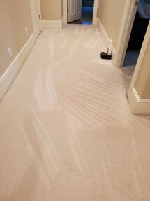 Before & After Carpet Cleaning in High Point, NC (4)