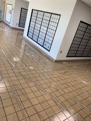 Post Office Lobby Floor Cleaning and Polishing in Greensboro, NC (4)