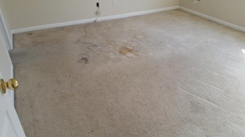 Carpet Cleaning by Superior Janitorial Service, LLC in Greensboro, NC